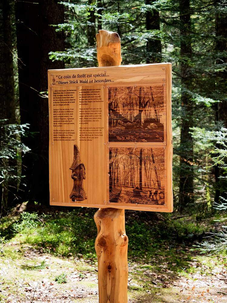 Un poste du sentier : panneau gravé au laser, bilingue, sur un mât en bois communal